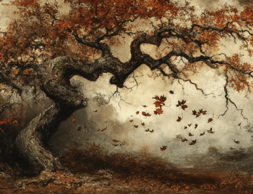 🌸 Mono no Aware: The Gentle Power of Knowing Everything Changes