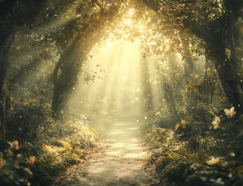 When Identity Becomes Value – Module 13