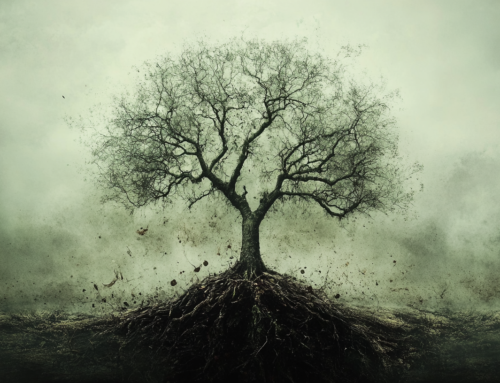 The Identity Awakening System Is Not the End… It’s the Seed