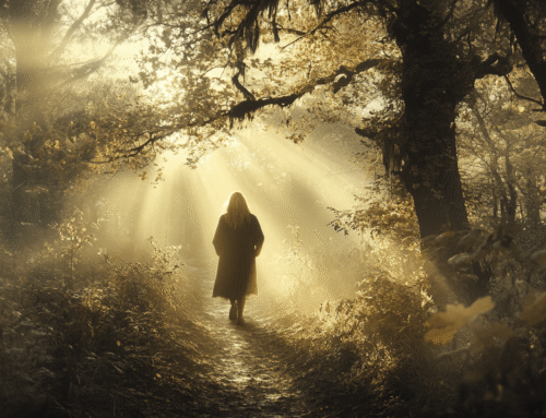 The Identity Drift Protocol