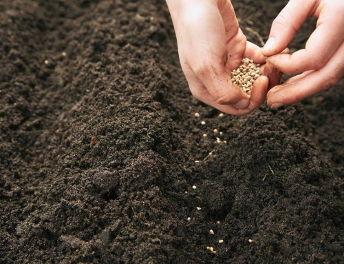 Create More, Consume Less – Why Humans Are Designed to Create